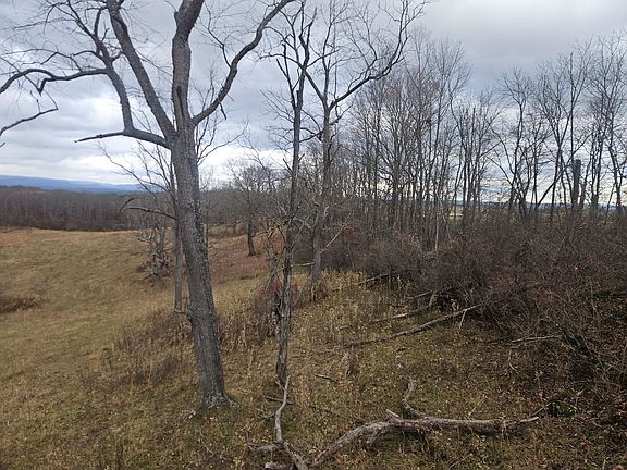 5th image of Boyd Rd