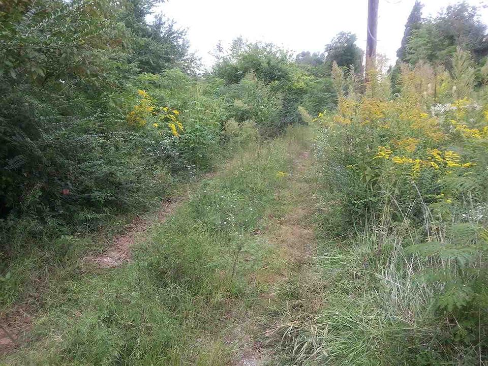 2nd image of 8265 Woodville Rd