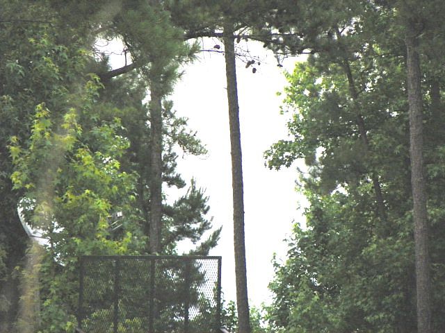 1st image of 983 Eagles Harbor Dr