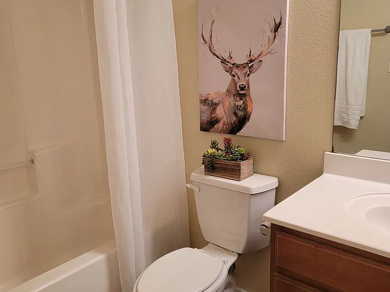 238 Bushtail Dr — Photo 10