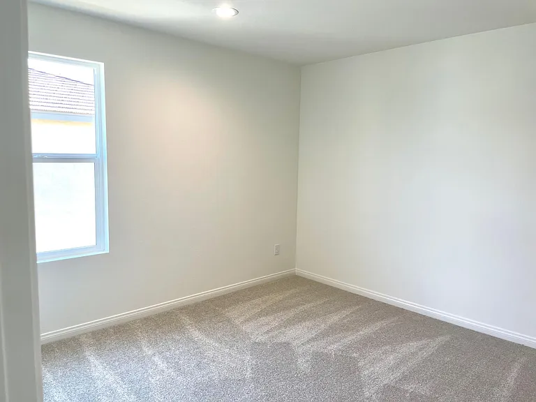 20009 Lemonscent Dr — Photo 5