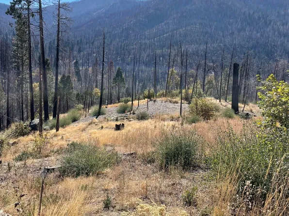 52567 Redwood Drive, Cedar Slope, CA 93265