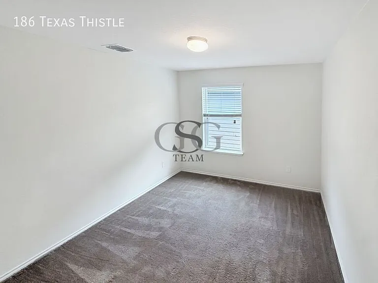 186 Texas Thistle — Photo 50