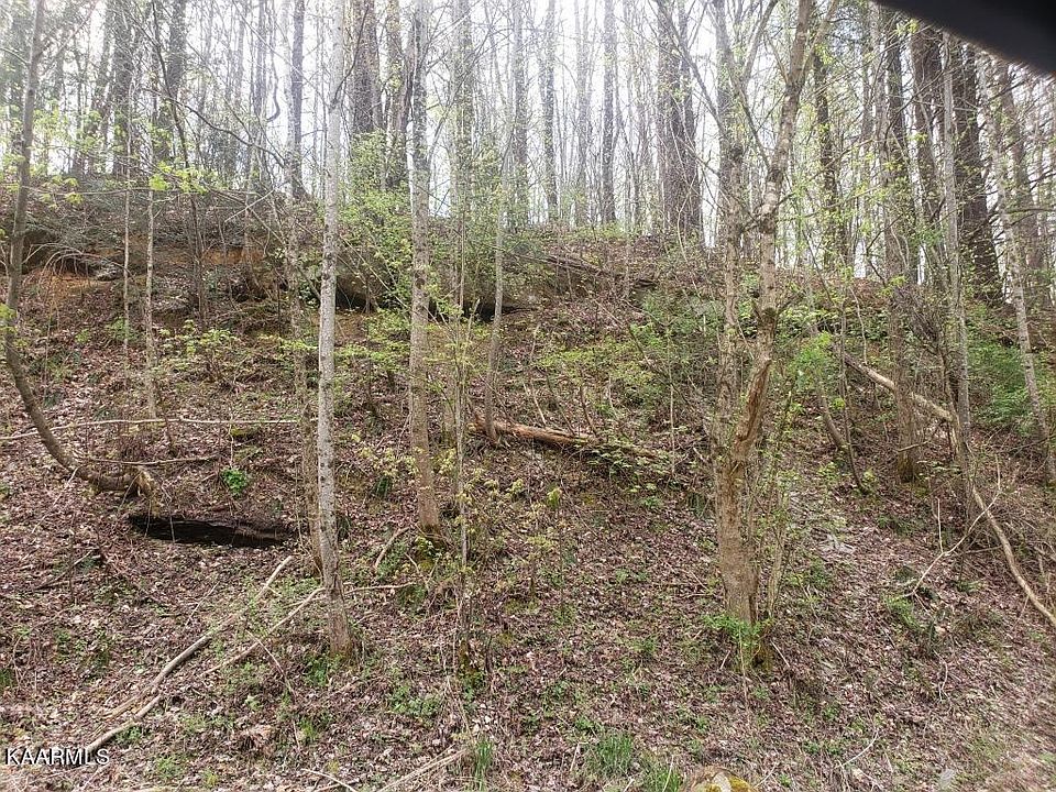 2nd image of Buffalo Rd