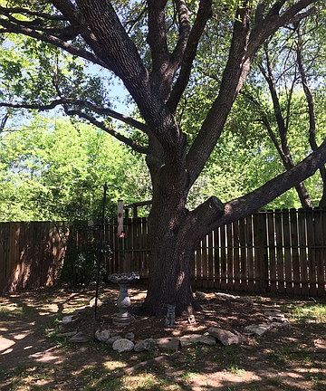 5th image of 3933 Chimney Springs Dr