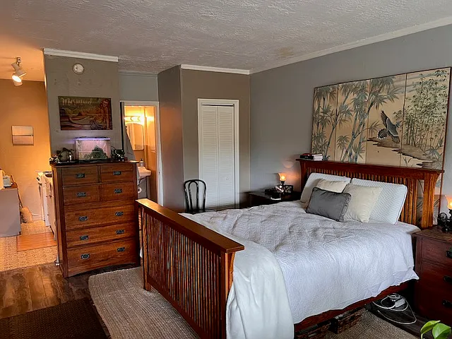 Studio, 450 sqft, $1,250 — Photo 4