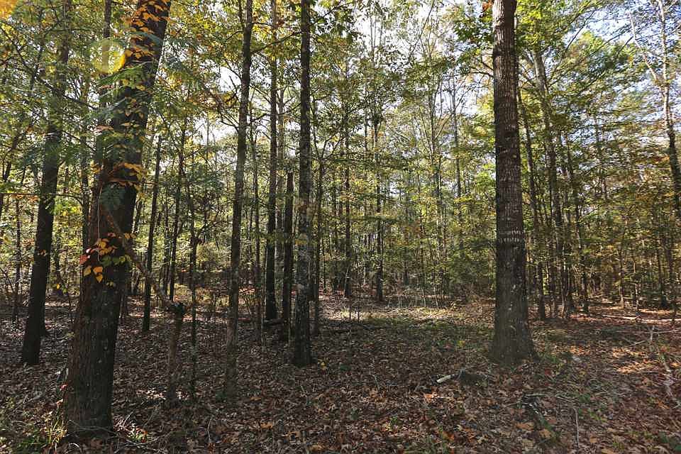 2nd image of Thurman Rd