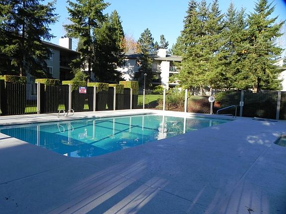 Pool on property