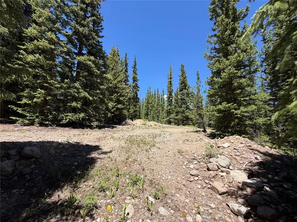 339 Silverheels Place, Fairplay, CO 80440