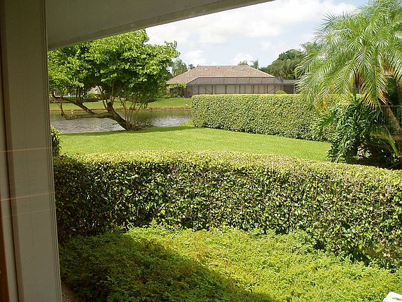 Gorgeous Oversized Yard