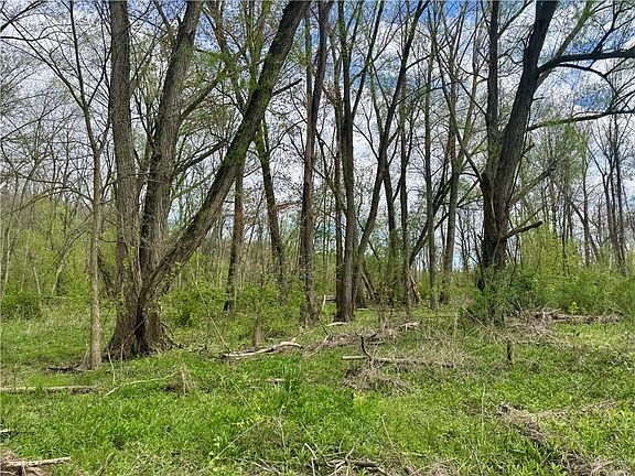 3rd image of Hydesville Rd