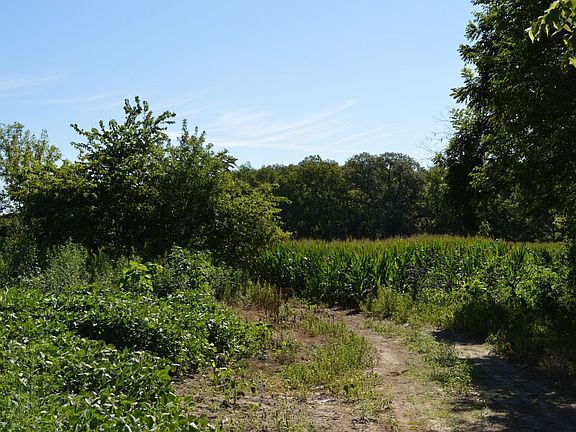 2nd image of 7288 County Road 33