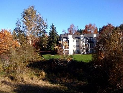 Landscape in the fall