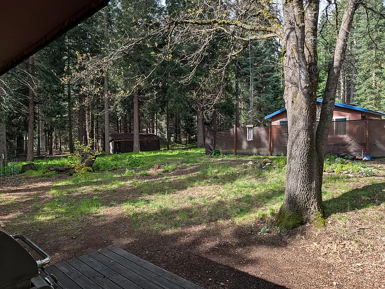Ponderosa Dr — Photo 18