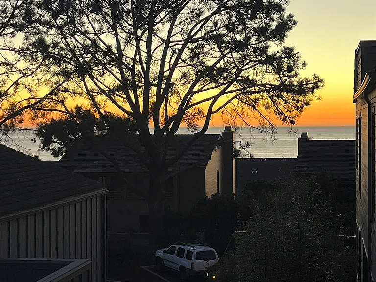 237 Sea Forest Ct — Photo 33