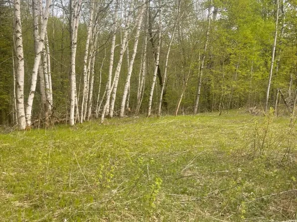 On Kendall Ln, Crandon, WI 54520