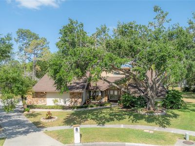 13906 Captains Reef Ct, Tampa, FL, 33624