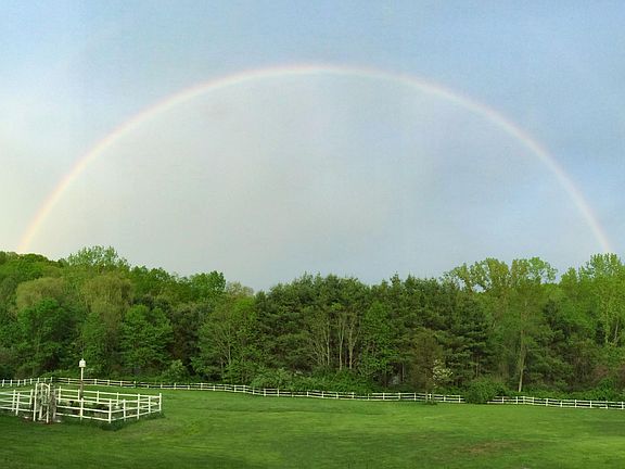 view from deck of field