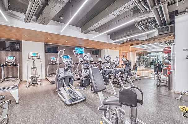 Rented by Platinum Properties | media 12