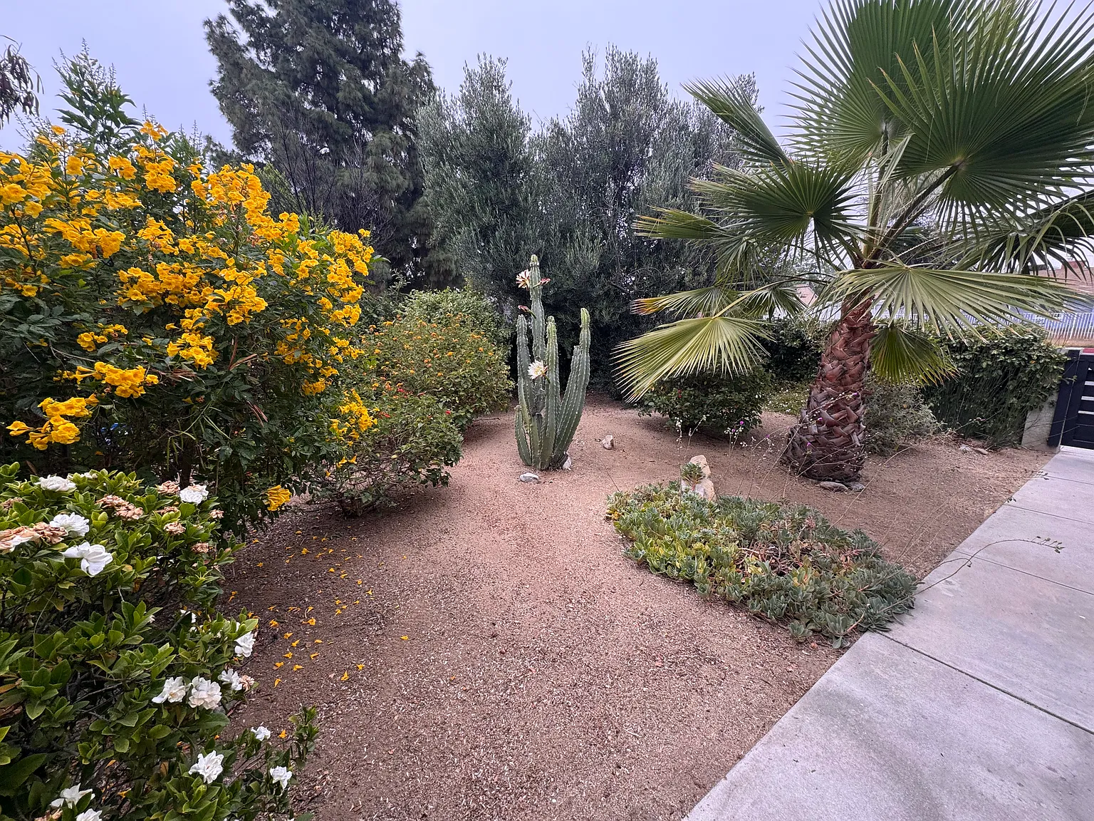 3 bed, 1500 sqft, $5,250 — Photo 2