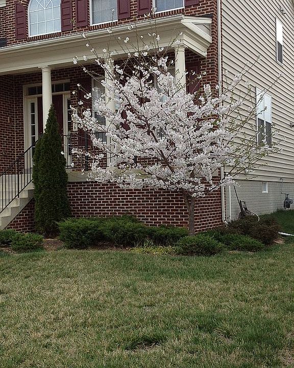 1st image of 2036 Downshire Ct