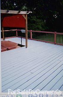 Doe and one of her fawns (she had twins)
						:
						Its true she (the doe) was an eight pointer -in full velvet!!
2009 twins born.