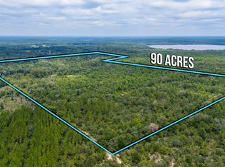 90 Acres Union Hill Rd, Vernon, FL 32462