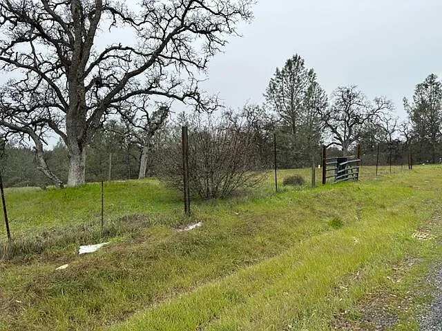 17137 Muledeer Dr photo 1