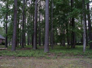 109 Potomac Dr, Chocowinity, NC 27817