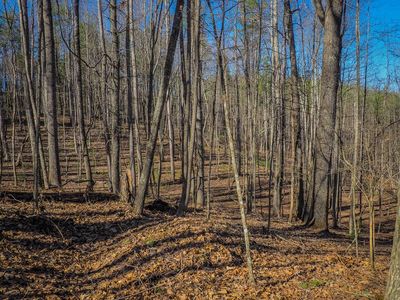 Chestnut Falls Ln, Galax, VA, 24333