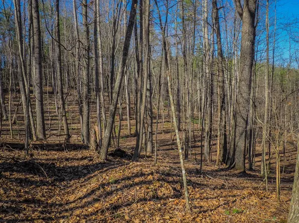Chestnut Falls Ln, Galax, VA 24333