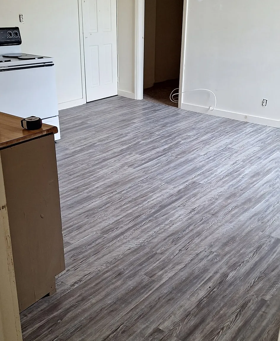 2 bed, 1200 sqft, $1,250 — Photo 3