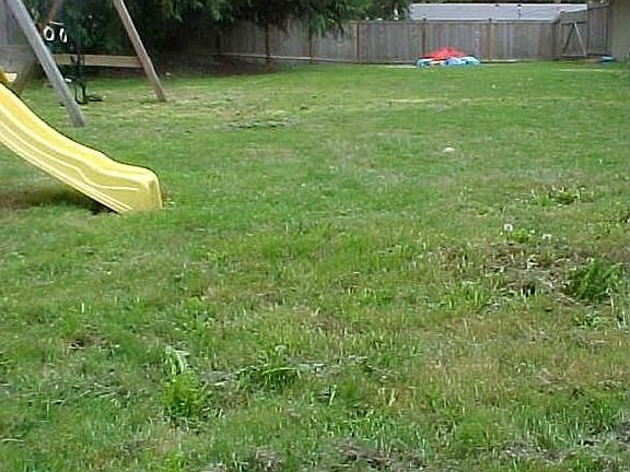 Large Fully-Fenced Backyard