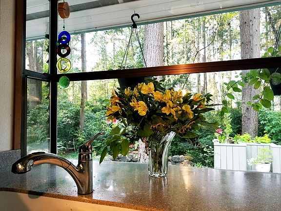 Garden Window