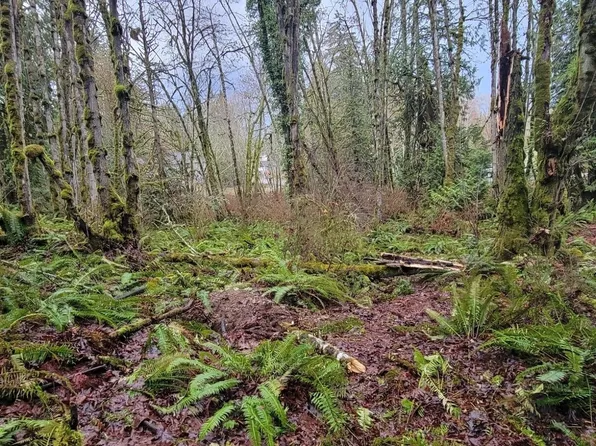 0 Nevada Ave & Michigan Street, Manchester, WA 98353