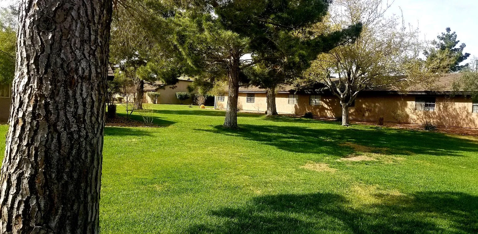 2 bed, 1327 sqft, $2,500 — Photo 4
