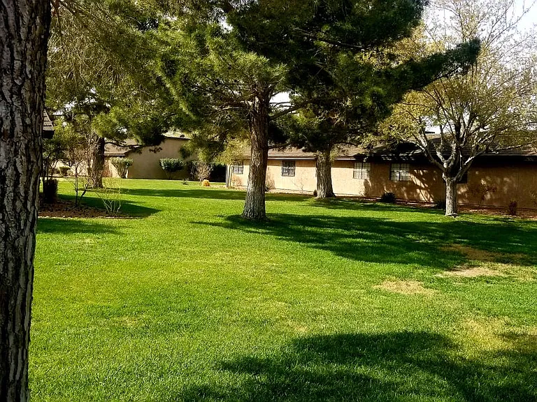 601 Buttonwood Ln — Photo 4
