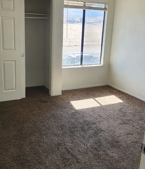 Elm Tree Estates Apartments — Photo 6