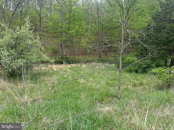 4th image of LOT 32 Moose Hollow Rd