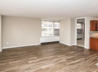 861 N Dewitt Pl #201, Chicago, IL 60611