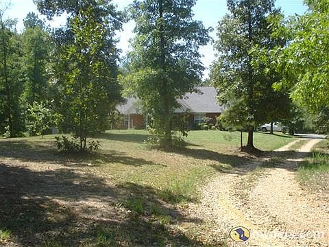 Front yard and driveway