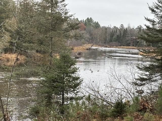 1st image of ON RIVER RD #1