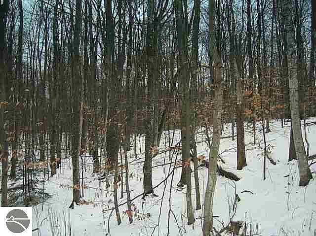 2nd image of E Tatch Rd