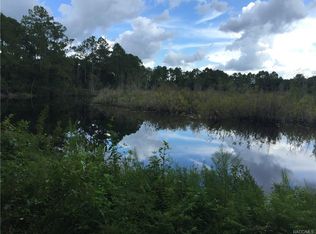 4580 E Treeline Dr, Hernando, FL 34442