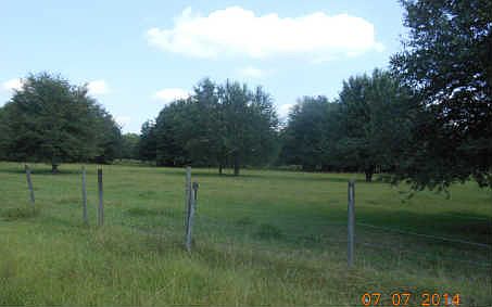 2nd image of 14664 99th Ln