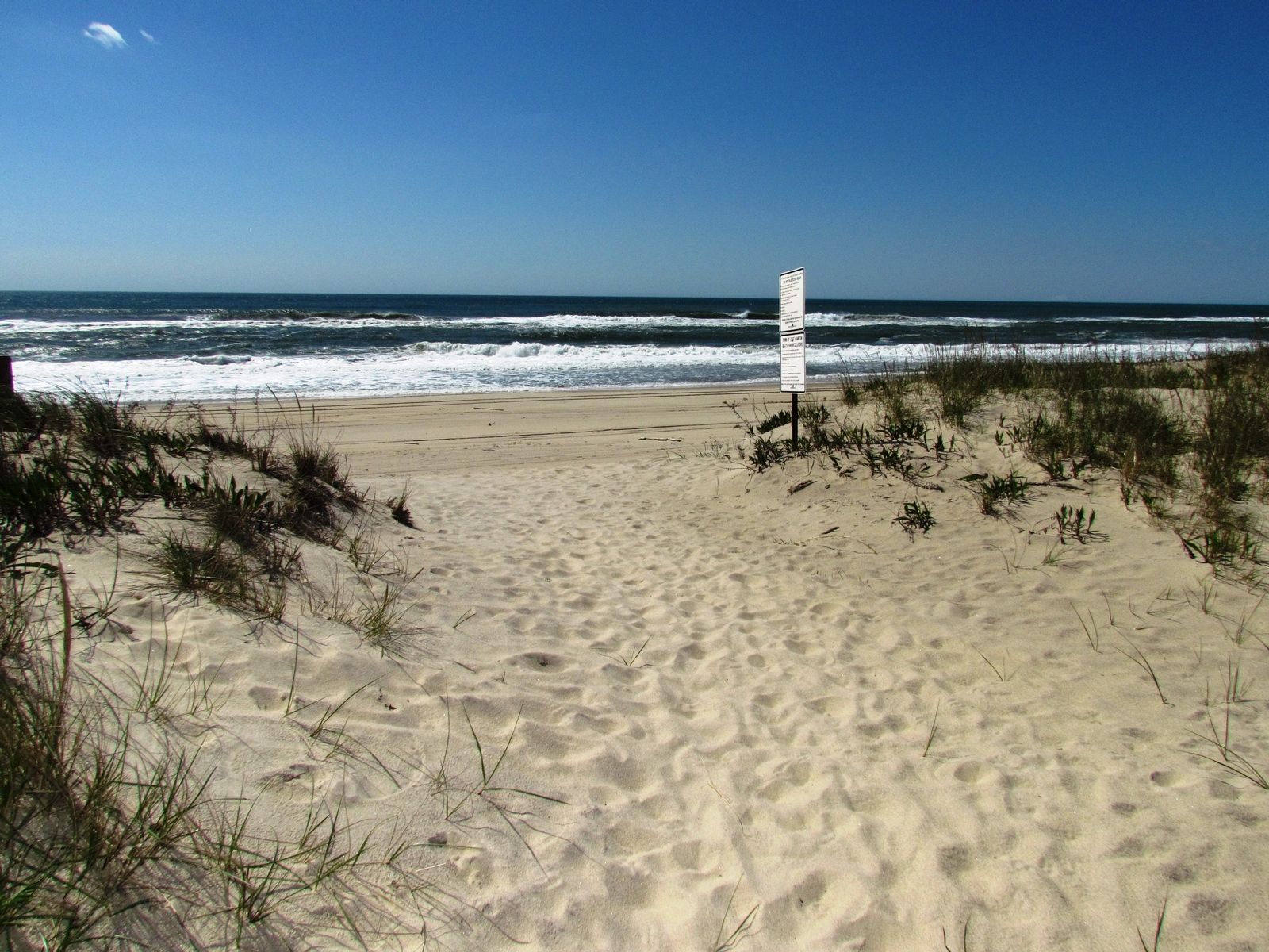 779 Old Montauk Hwy, Montauk, NY 11954 Out East