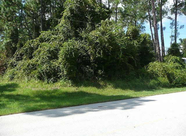 1st image of 69 Wood Haven Dr
