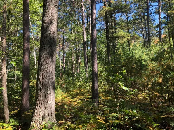 Cedar Falls Rd, Hazelhurst, WI 54531
