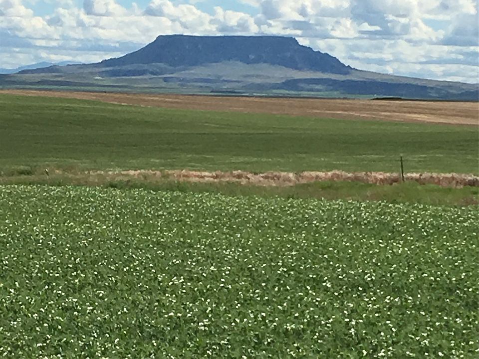 1st image of Flat Creek Rd