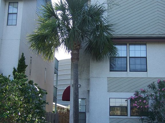 Front of the house